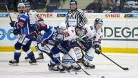hokej brno 21